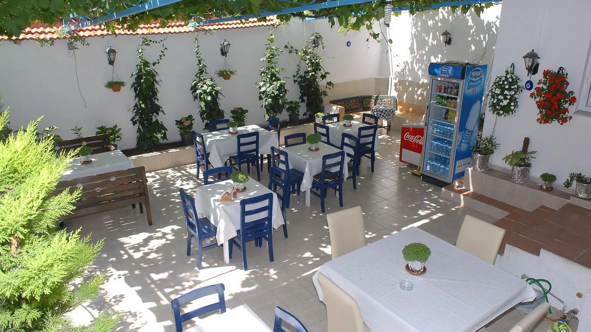 ** Pensjonat Nese Hotel Çeşme Turcja